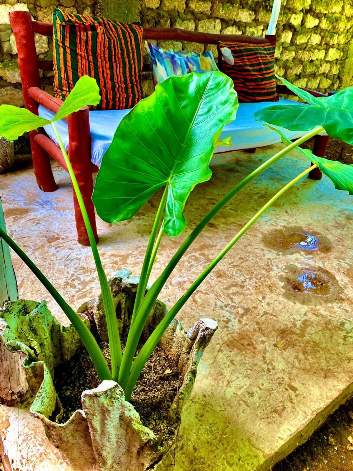 African Hut Tiny Cottage Diani Beach Kültér fotó